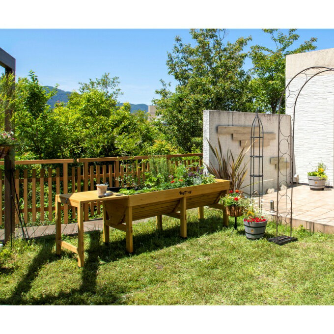 �������硼 TAKASHO �ץ�󥿡� �ۡ���٥��ȥ饰 L VGT-02F �ڤ�������������ۡ�