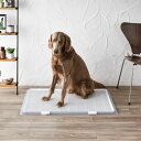 ボンビアルコン bonbi ペット トイレトレー ペットレー クリアメッシュ XL BA4338 【返品不可】【ご自宅配送限定】‥