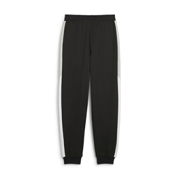プーマ スウェットロングパンツ ジュニア PW 裏起毛スウェットパンツ 684023 PUMA