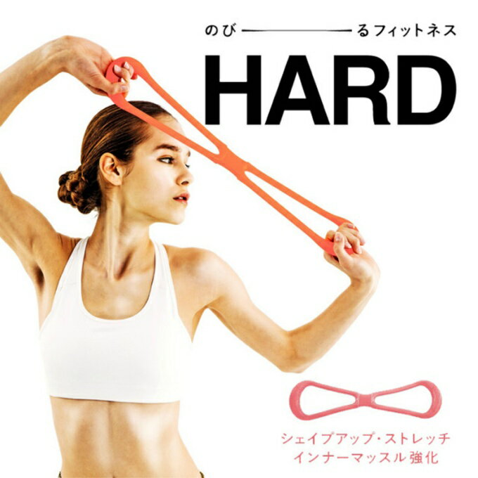 鉄アレー/ダンベル 〔1kg×2本〕 D801