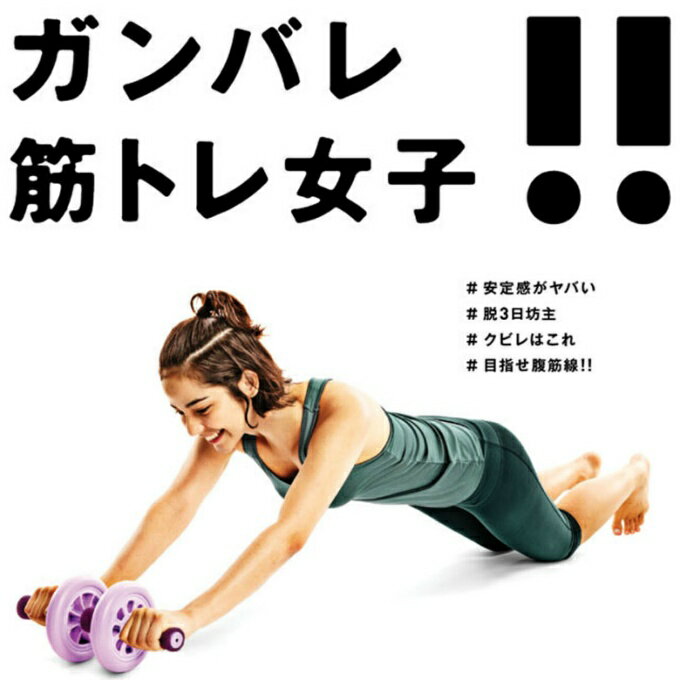 ラ ヴィ La-VIE 腹筋ローラー ワイド腹筋ローラーひろみちゃん 3B-4028 3