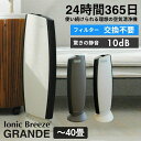 空気清浄機 イオニックブリーズ Ionic Breeze IB-GRANDE【メーカー直送】【ご自宅配送限定】‥