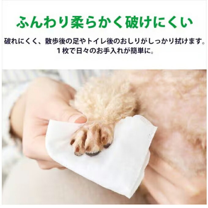 ��80���8�ġۥ����ꥹ������� IRIS OHYAMA �ȥ����Ѿ�ʪ �ڥå��ѥ����åȥƥ��å��� 80���8�� DPWT-8P �ڤ�������������� ��