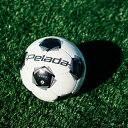 【最新モデル】モルテン サッカーボール 4号 検定球 ペレーダ3000 手縫い F4K3000 molten エントリーモデル 初心者 最初の一球 小学生 クラブ