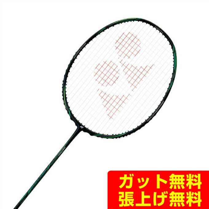 ʺ10OFF6/22 20:006/27 1:59ۥͥå Хɥߥȥ饱å ȥͥơ AXNT-53...