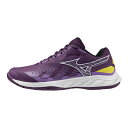 ミズノ バドミントンシューズ メンズ レディース ウエーブファングEL2 WAVE FANG EL 2 71GA242303 MIZUNO