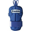 【全品対象最大10%OFF!2025年8/15 0:00~8/20 23:59】 フランクリン(FRANKLIN) 野球 手甲ガード HAND GUARD LG ハンド カード 23566C5