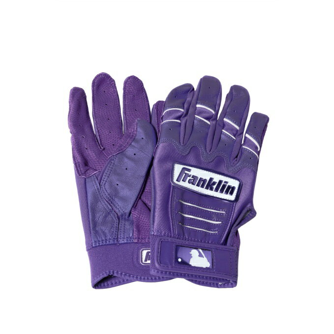フランクリン(FRANKLIN) 野球 バッティンググローブ 両手用 CFX PRO HI LITE 20880