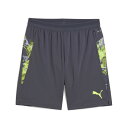 プーマ サッカーウェア ハーフパンツ メンズ Q2 indiv ショーツ 660205 08 PUMA
