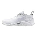 ミズノ バスケットシューズ メンズ レディース ウエーブトランジスタ W1GA240001 MIZUNO