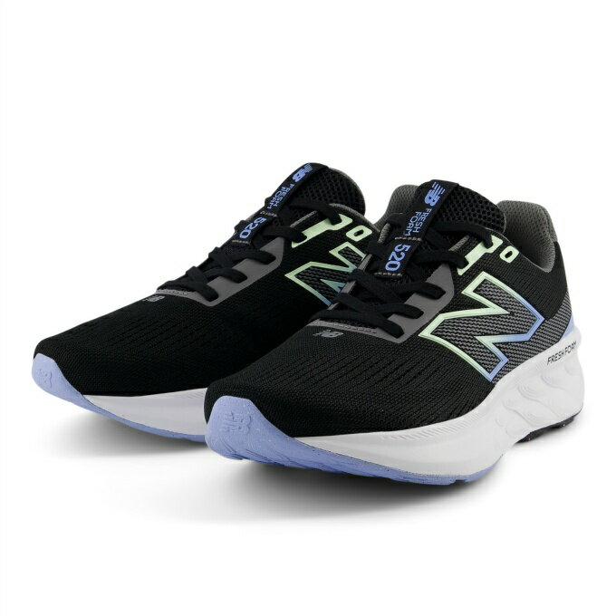 ˥塼Х ˥󥰥塼 ǥ 25SS եåե FF 520 v9 W520LB9 D new balance