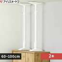 アイリスオーヤマ IRIS OHYAMA 転倒防止用品 【2本セット】家具転倒防止伸縮棒Lサイズ KTB-60R ‥
