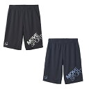 デサント DESCENTE ハーフパンツ メンズ ドライメッシュ ビックロゴ ハーフパンツ ST5SHP00M