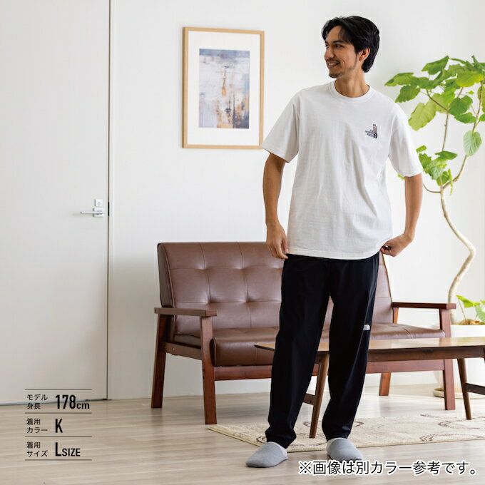 ザ・ノース・フェイス Tシャツ 半袖 メンズ ...の紹介画像3