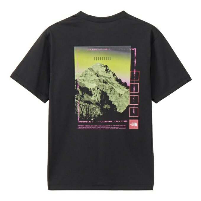 ザ・ノース・フェイス Tシャツ 半袖 メンズ レディース SS FD SVN SM GRP T NT32544-K ノースフェイス THE NORTH FACE