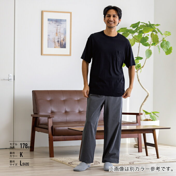 ザ・ノース・フェイス Tシャツ 半袖 メンズ SS SML LG POCKET T ショートスリーブ...