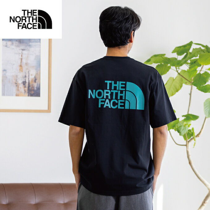 ザ・ノース・フェイス Tシャツ 半袖 メンズ レディース SS FD CLR SM CTN T NT32548-K ノースフェイス THE NORTH FACEのサムネイル