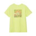 ザ・ノース・フェイス Tシャツ 半袖 レディース SS ES FLWBX LOGOT NTW32583-SF ノースフェイス THE NORTH FACE