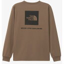 ザ・ノース・フェイス Tシャツ 長袖 レディース ロングスリーブバックスクエアロゴティー NTW32442-SK ノースフェイス THE NORTH FACE