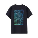 ザ・ノース・フェイス Tシャツ 半袖 レディース SS TNF MONKEY MG T ショートスリーブTNFモンキーマジックティー NTW32538-K ノー...
