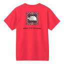 ザ・ノース・フェイス Tシャツ 半袖 レディース S/S BD SQAR LOGO T ショートスリーブバンダナスクエアロゴティー NTW32446-HI ノー...