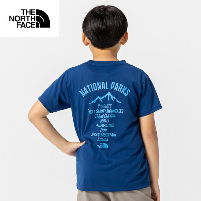 Ρե T Ⱦµ ˥ SS TNF Bug Free Graphic Tee NTJ32554-OB Ρե...