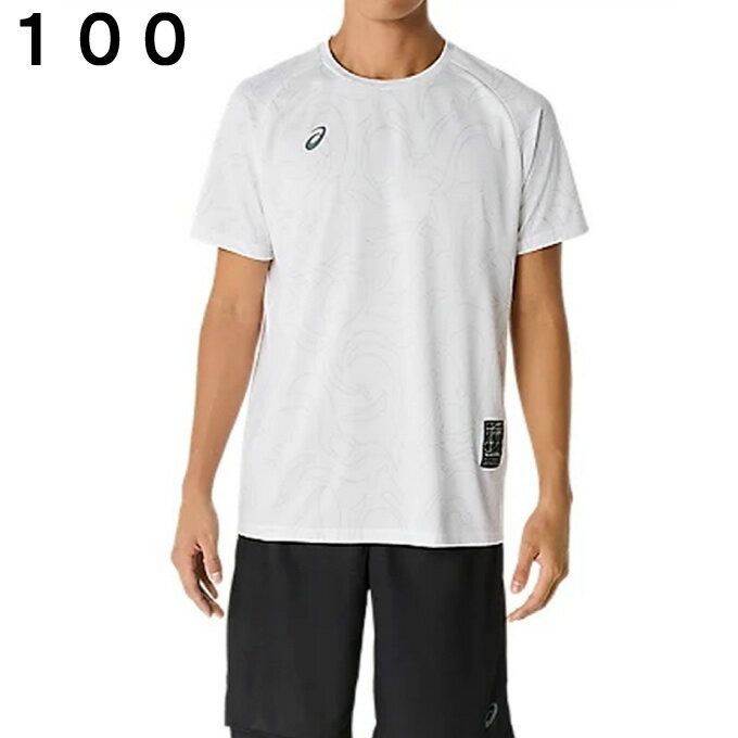 アシックス Tシャツ 半袖 メンズ ドライグラフィック半袖シャツ 2031E994 asics