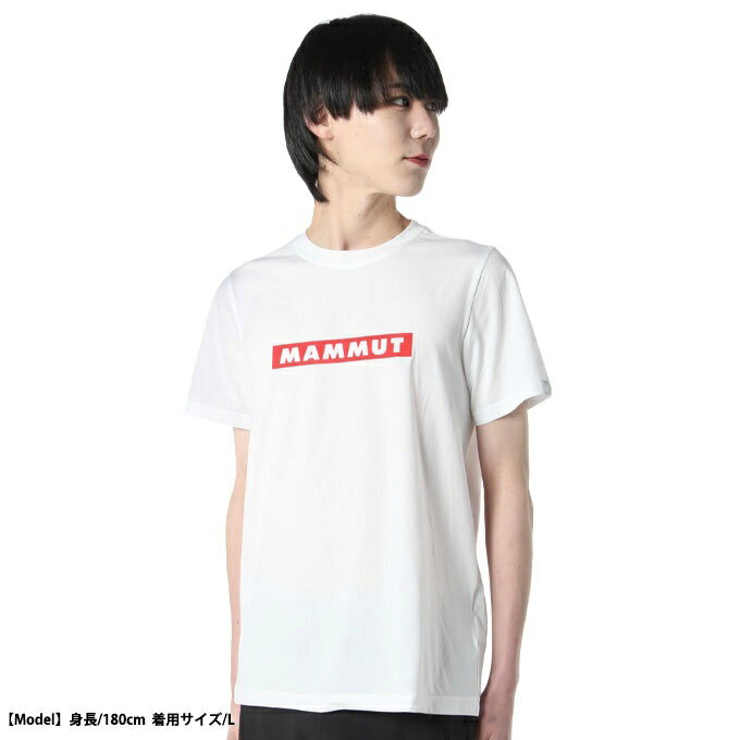 マムート Tシャツ 半袖 メンズ QD Logo Print T-Shirt アジアンフィット Men 1017-02012-00758 MAMMUT