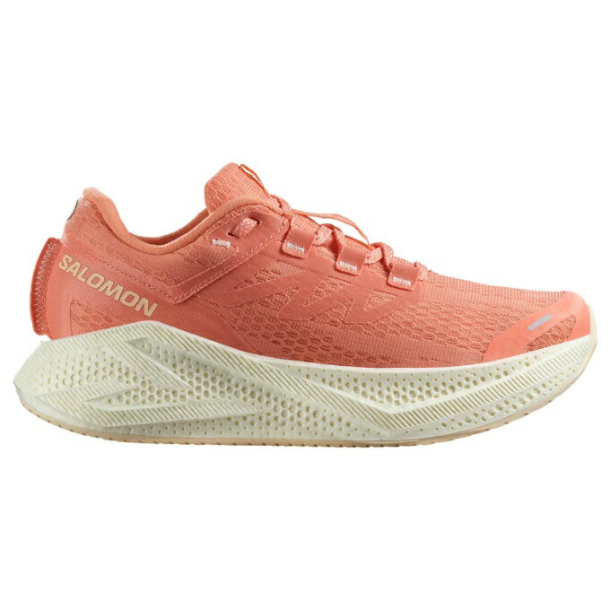  サロモン トレイルランニングシューズ レディース AERO GLIDE 3 L47810700 SALOMON