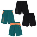 チャムス CHUMS ハーフパンツ メンズ レディース エアトレイルストレッチチャムスショーツ Airtrail Stretch CHUMS Shorts CH...