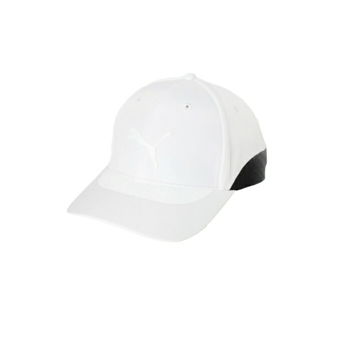 ס  å  PFǡ饤󥭥å 026654 PUMA