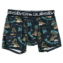 クイックシルバー QUIKSILVER 水着 インナーパンツ CONNECT メンズ インナー QUD251004