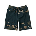 クイックシルバー QUIKSILVER 水着 インナーパンツ ジュニア トランクス KBS252003
