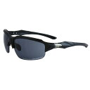 【最大10%OFFクーポン!7/4 20:00~7/11 1:59】エルバランス L-BALANCE 偏光サングラス メンズ レディース SUNGLASS 偏光 ACROSS 25S-452-1