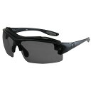 エルバランス L-BALANCE 偏光サングラス メンズ レディース SUNGLASS 偏光 PREVENT 25S-476-2(4)