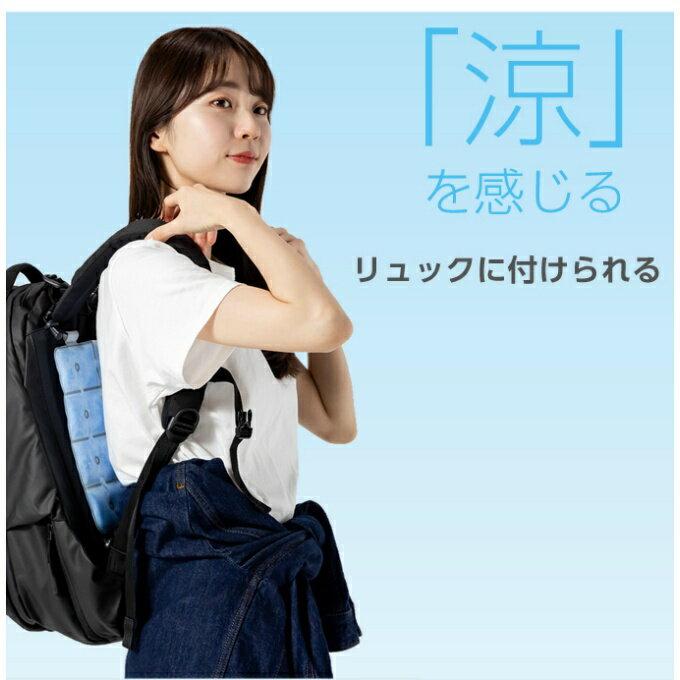 涼感アイテム Icyクールキャリー GJーIcyクールキャリー 背中冷感 冷たい 保冷剤 ...