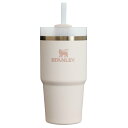 スタンレー STANLEY 水筒 すいとう H2.0真空スリムクエンチャー0.6L 10826-279(3)