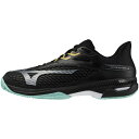 【全品対象最大10%OFFクーポン!8/24 20:00〜8/27 1:59】ミズノ MIZUNO テニスシューズ オムニ クレー メンズ レディース ウエーブ...