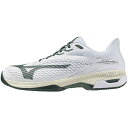 ミズノ MIZUNO テニスシューズ オールコート用 メンズ ウエーブエクシード6 SW AC 61GA251635