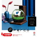 ジェックス GEX 熱帯魚用品 グラスアクア PERCO B-DW GEX4303 【ご自宅配送限定】‥