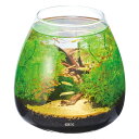 【最大1万ポイント還元!7/20 20:00~23:59】ジェックス GEX 熱帯魚用品 グラスアクア ティアー GEX1401 【ご自宅配送限定】‥
