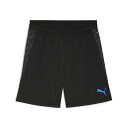プーマ サッカーウェア ハーフパンツ メンズ Q3 IndivC TRショーツ 660499 07 PUMA