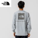 ザ・ノース・フェイス(THE NORTH FACE) Tシャツ 長袖 メンズ レディース ロングスリーブバックスクエアロゴティー NT32442-ZZ 【国内正...