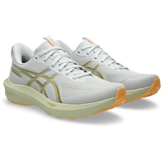 アシックス asics ランニングシューズ メンズ GT-1000 14 1011C077-100