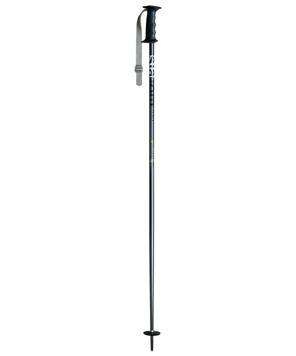 楽天市場】ストック（カラーシルバー）（スキー用品｜ウィンター