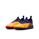 ナイキ(NIKE) フットサルシューズ インドア ジュニア ファントム 6 LOW アカデミー Erling Haaland HQ2036-800