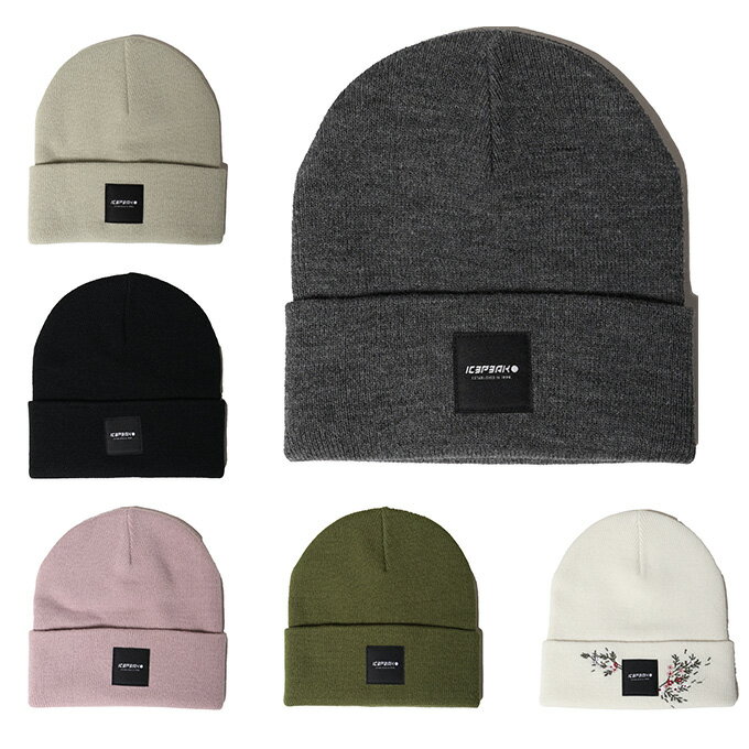 アイスピーク(ICE PEAK) ニット帽 メンズ レディース ニットキャップ 58808 850