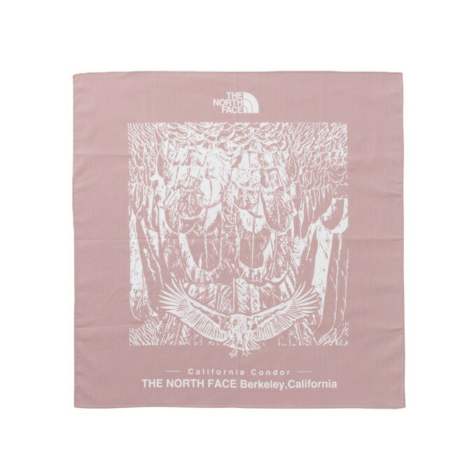 �����Ρ������ե�����(THE NORTH FACE) �Х���� ����ե���˥�����ɥ�Х���� NN22500-MP �ڹ��������ʡ�