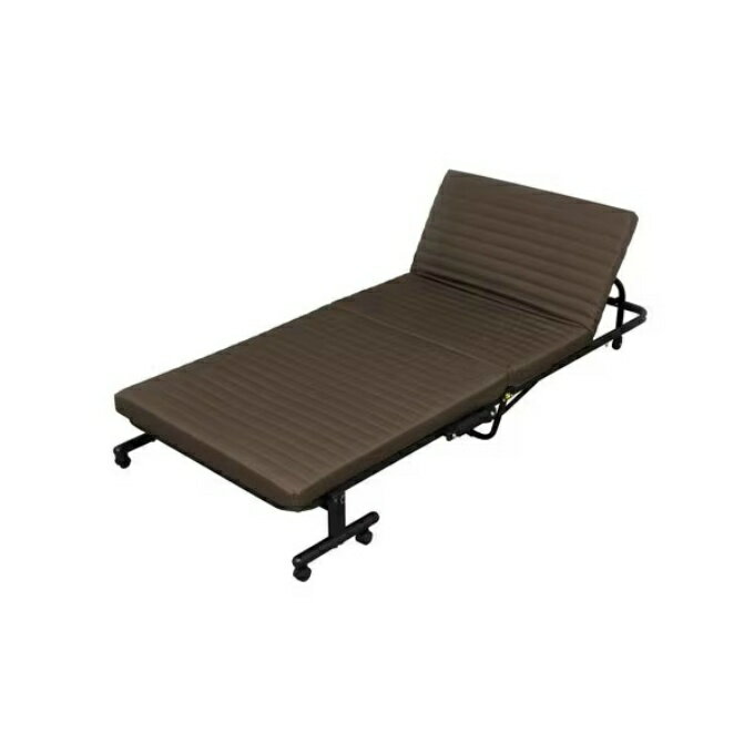 アイリスオーヤマ(IRIS OHYAMA) ベッド 折りたたみベッド OTB-BRR 【メーカー直送】【ご自宅配送限定】・・