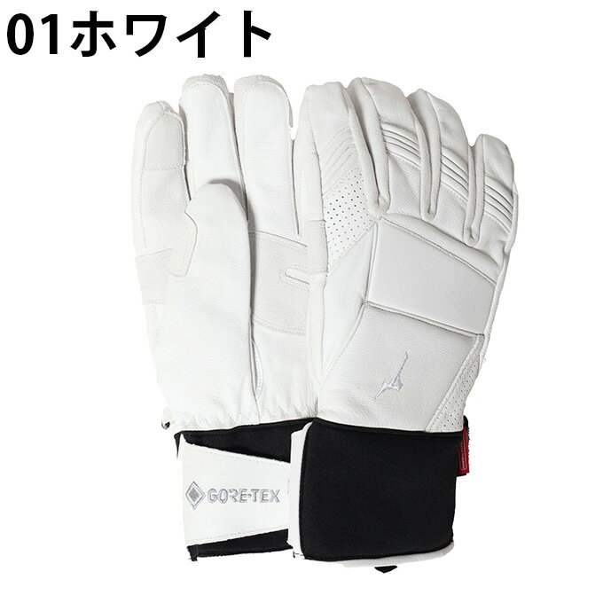 ミズノ(MIZUNO) スキーグローブ メンズ レディース LEATHER 5F GLOVES レザー グラ...